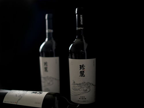 珍麓干红葡萄酒 酒标设计 产品拍摄